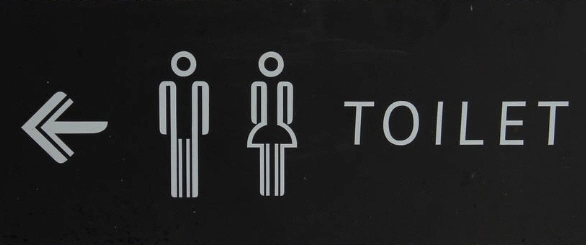 RV camper van secret toilet